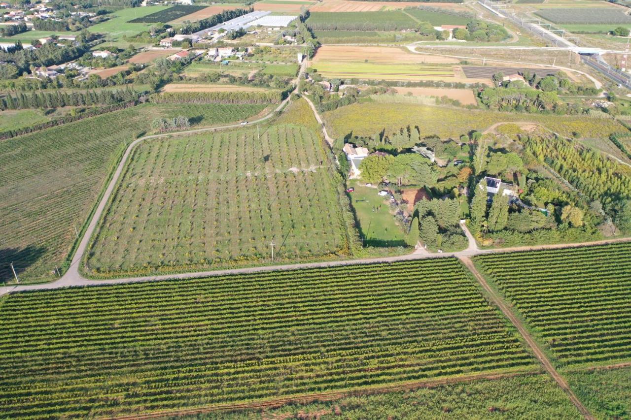 Domaine De La Trinite Montpellier - Aeroport - Plages - Arena - Zenith Saint-Aunes Exterior foto